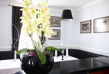 Photo gallery 3